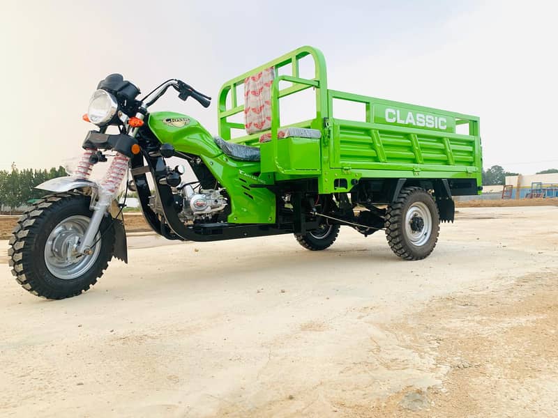 Classic 110cc cargo loader rickshaw 5