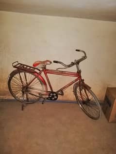 cycle for sale