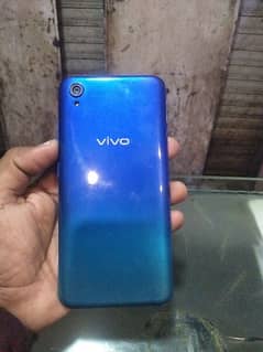 vivo