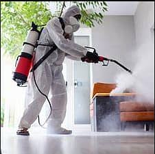 Termite control / Fumigation services / Pest control 1