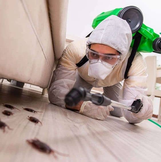 Termite control / Fumigation services / Pest control 6