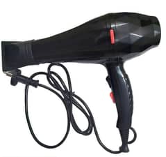 Hair dryer