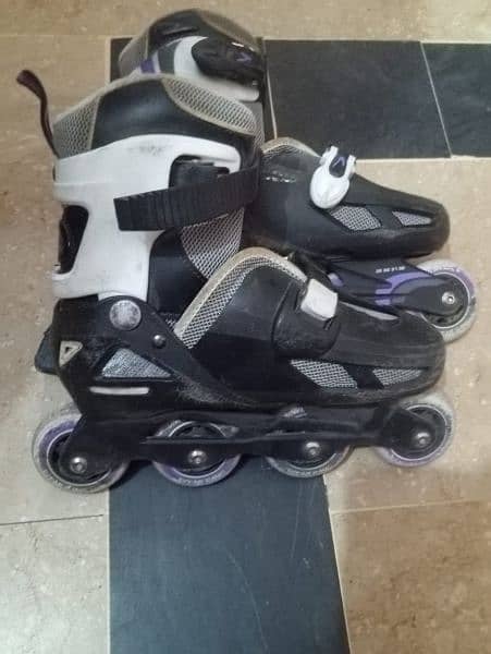 Roller Skates 1