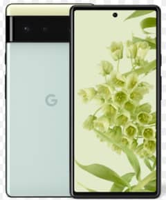 Google pixel 6