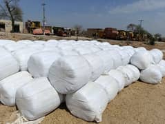 Green Wood Corn Silage