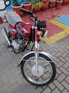 honda 125 2024