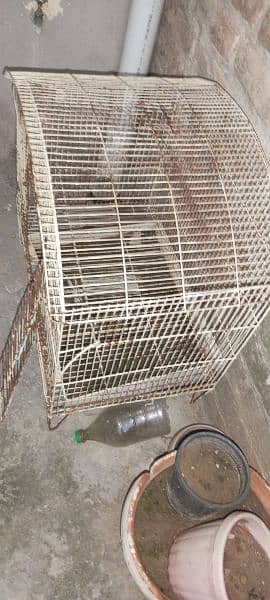 Big Cage Low price good condition 1