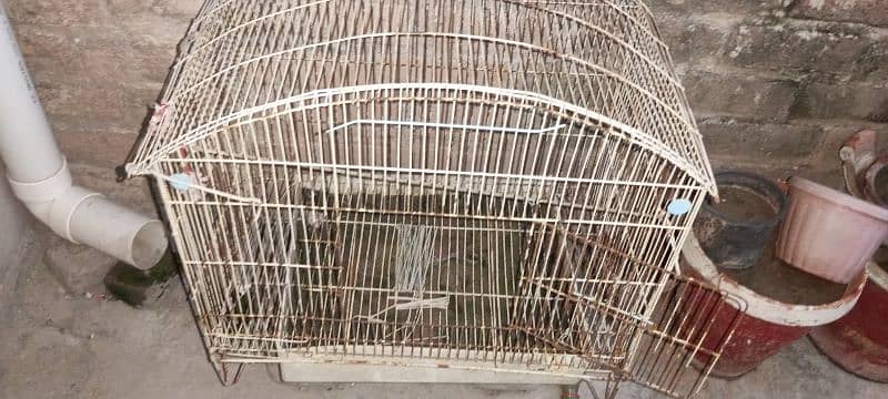 Big Cage Low price good condition 3