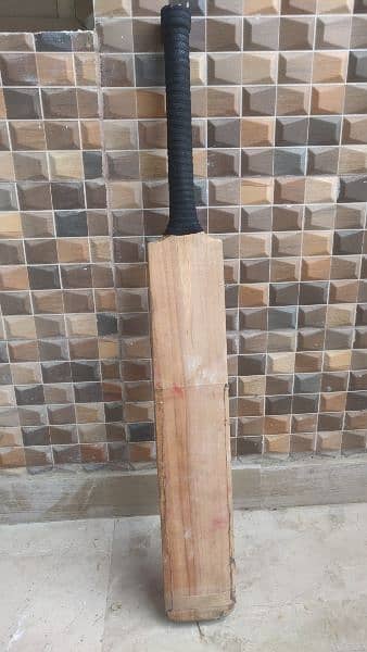 plain good quality hard ball bat with good balance and straight grains 0