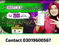 Online jobs in Pakistan _online assignment work