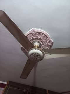 Used fan for sale climax