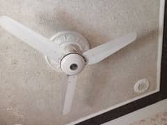 Exellent fan size 56. . 3 nos