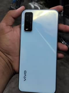 vivo