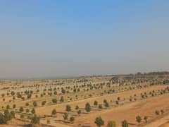 4marla Commercial plot for sale in DHA Valley Islamabad Sector Bluebell Ballot