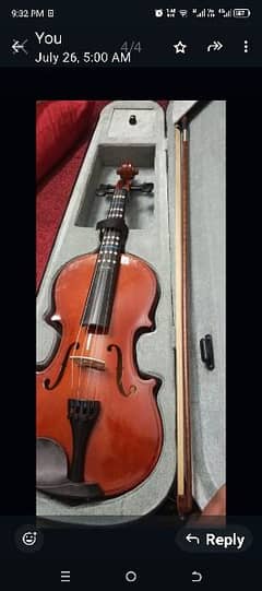 Violin