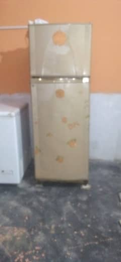 FRIDGE