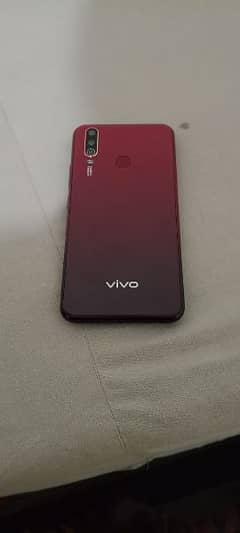 Vivo