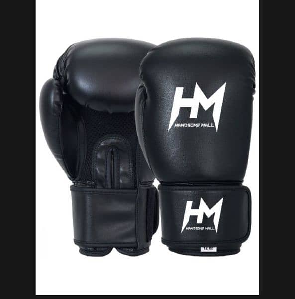 FREE DELIVERY punching bag 1