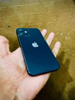 iPhone 12 mini