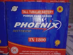 Phoenix & Exide Tall Tubular Batteries