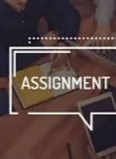 Online Assignment work available