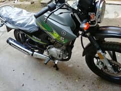 ybr 125g