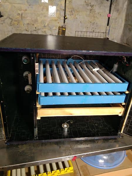 Egg incubator Automatic 160 egg Automatic 1