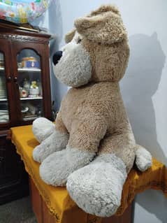 Very BIG size teddy bear