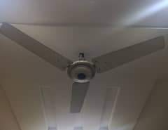 GFC ceiling fan