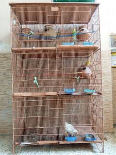 Stylish Birds Cage with Beautiful Parrots full setup