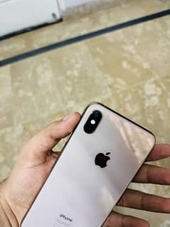 XS Max 256