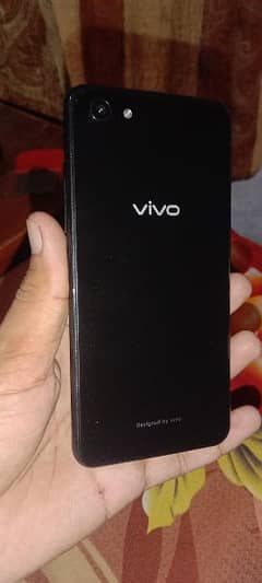 vivo