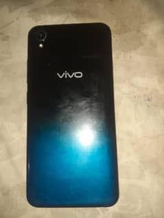 vivo