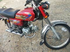 Union Star 70cc 2023