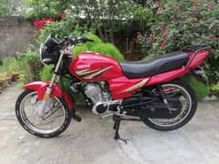 Yamaha Ybz 19 model Rawalpindi number