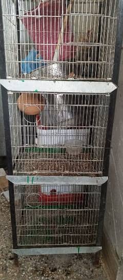 birds cage