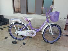 Elsa themed purple girls bicycle