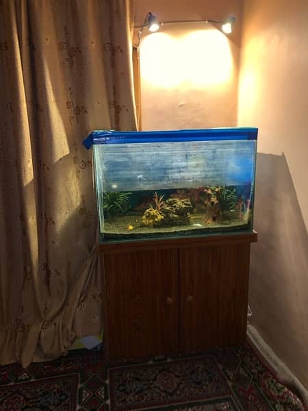 I am selling Aquarium good condition 6