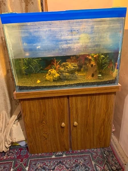 I am selling Aquarium good condition 14