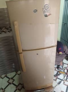 Pel medium size fridge