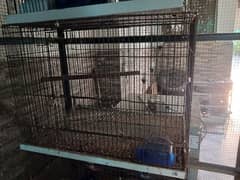 Bird cage for sale!