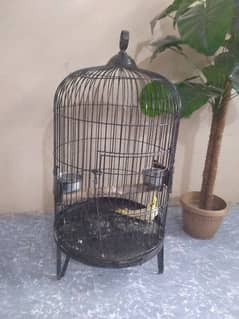 Cage (iron) for big Gray and green parrots