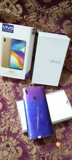 Vivo