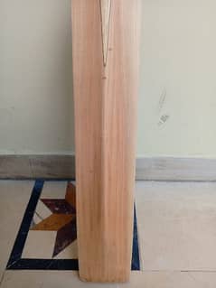 Cricket bat