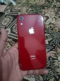 apple i phone xr