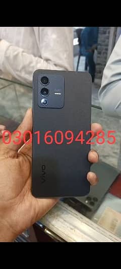 vivo