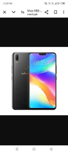 vivo