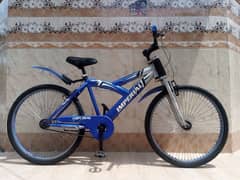 cycle 26 inch imported cycle