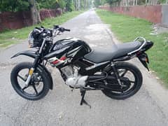 Yamaha YBR 125G/03307987830