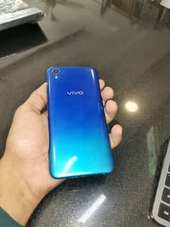 vivo